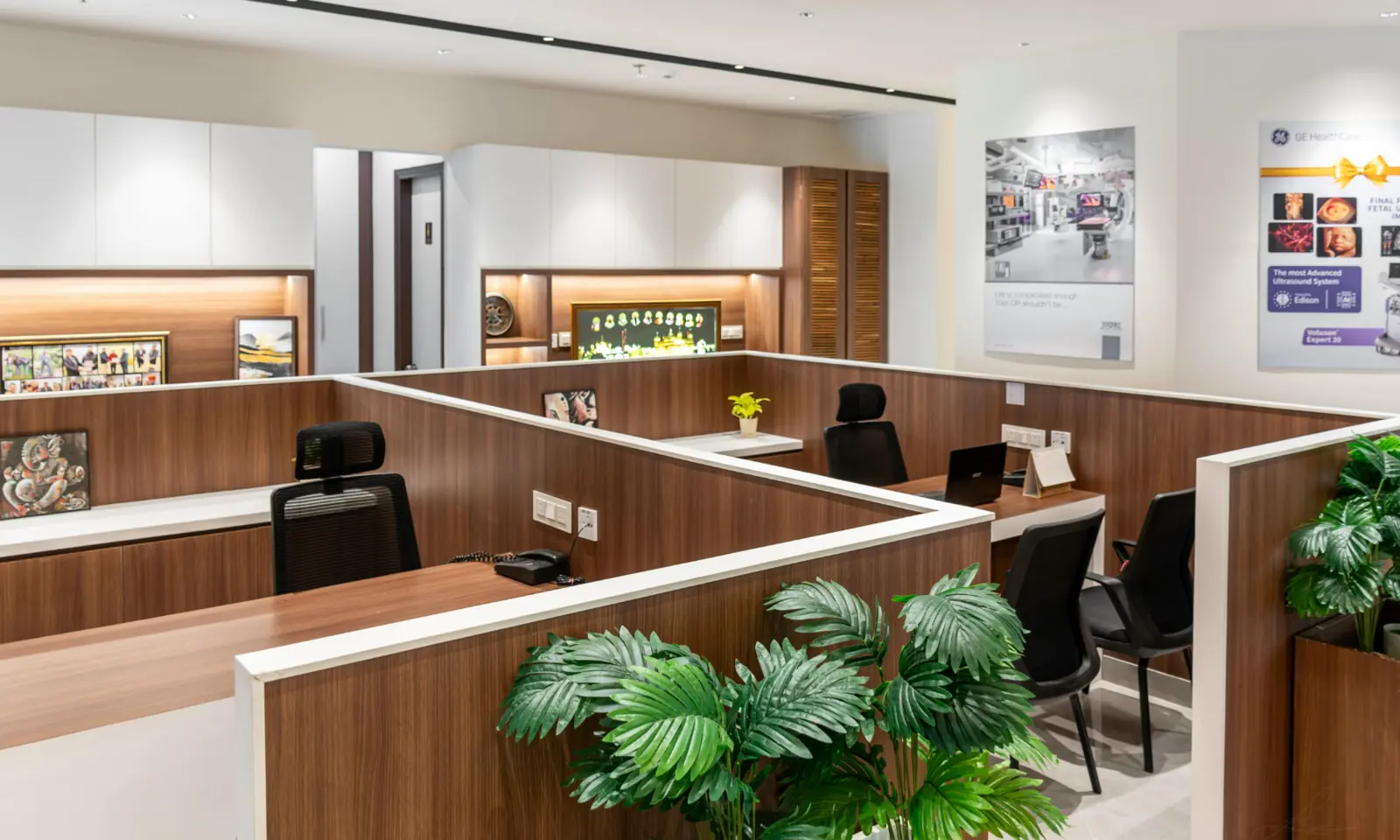 Clean, modern office with wood workstations and indoor plants
